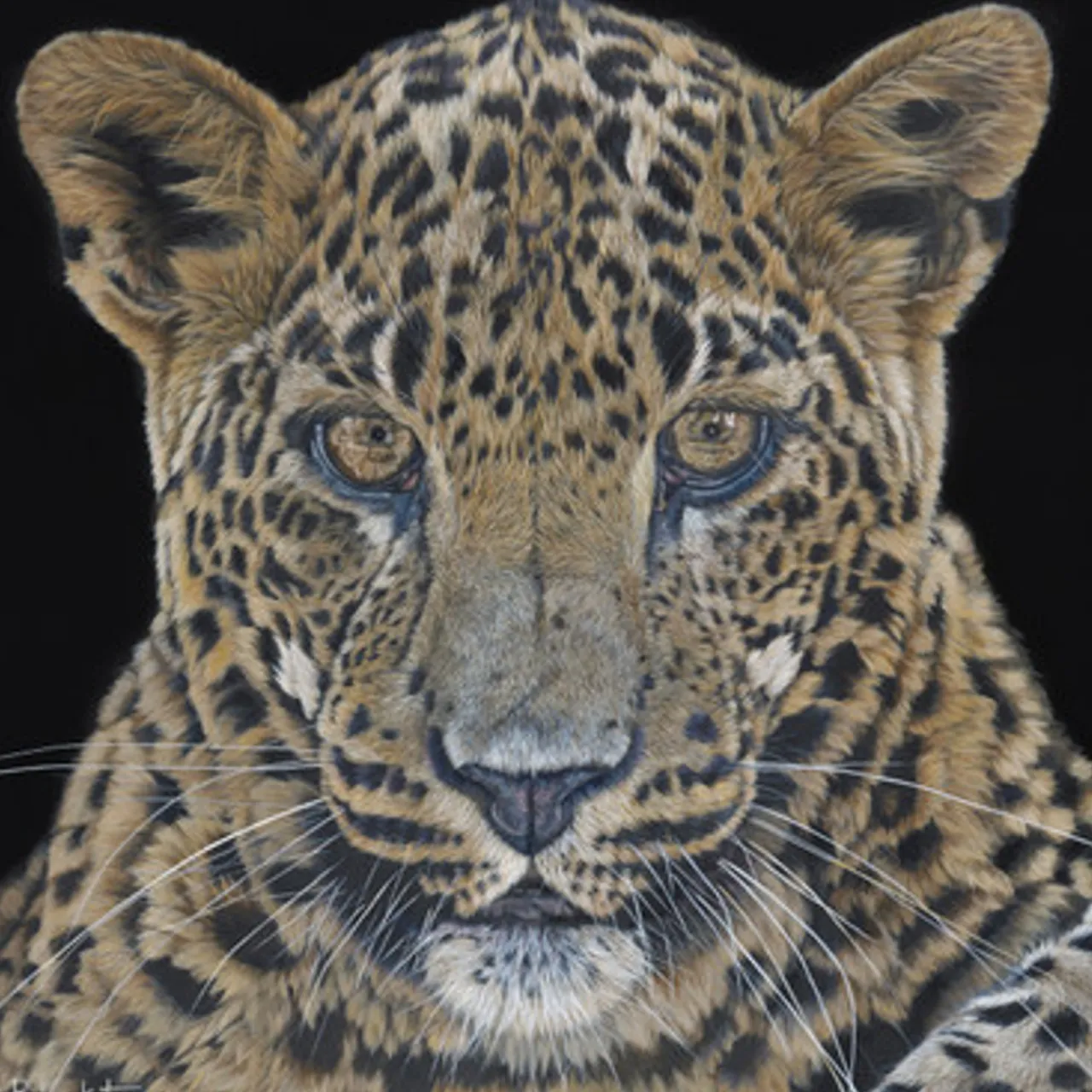 Z Gallerie Conscience - Sri Lankan Leopard> Canvas | Natural