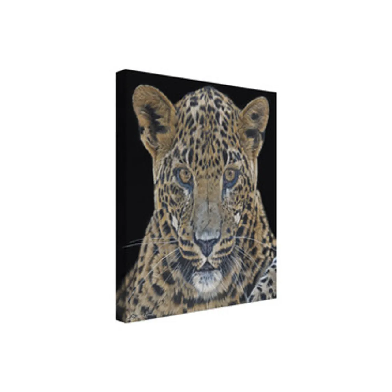 Z Gallerie Conscience - Sri Lankan Leopard> Canvas | Natural