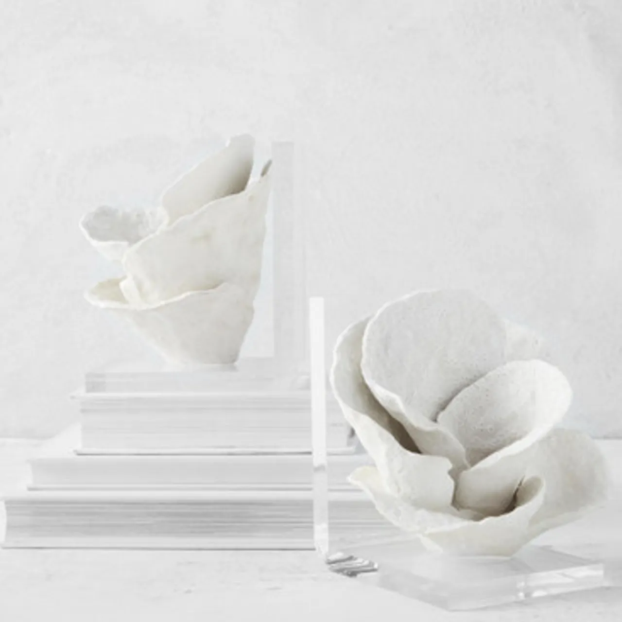 Z Gallerie Coral Bookends> Home Decor | Décor Sale