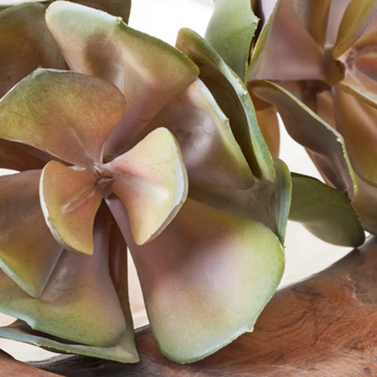 Z Gallerie Faux Echeveria Succulent Pick - Set of 3> Home Decor | Décor Sale