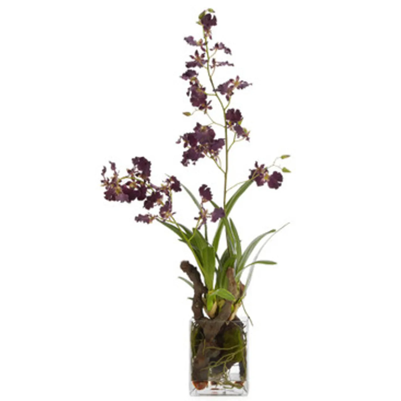 Z Gallerie Faux Oncidium In Glass> Home Decor | Décor Sale