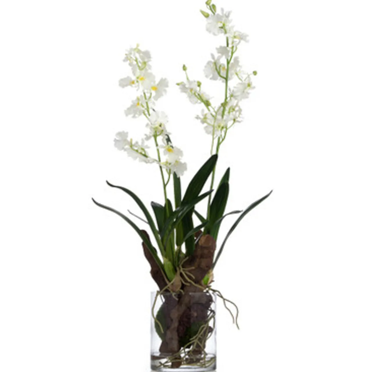 Z Gallerie Faux Oncidium In Glass> Home Decor | Décor Sale