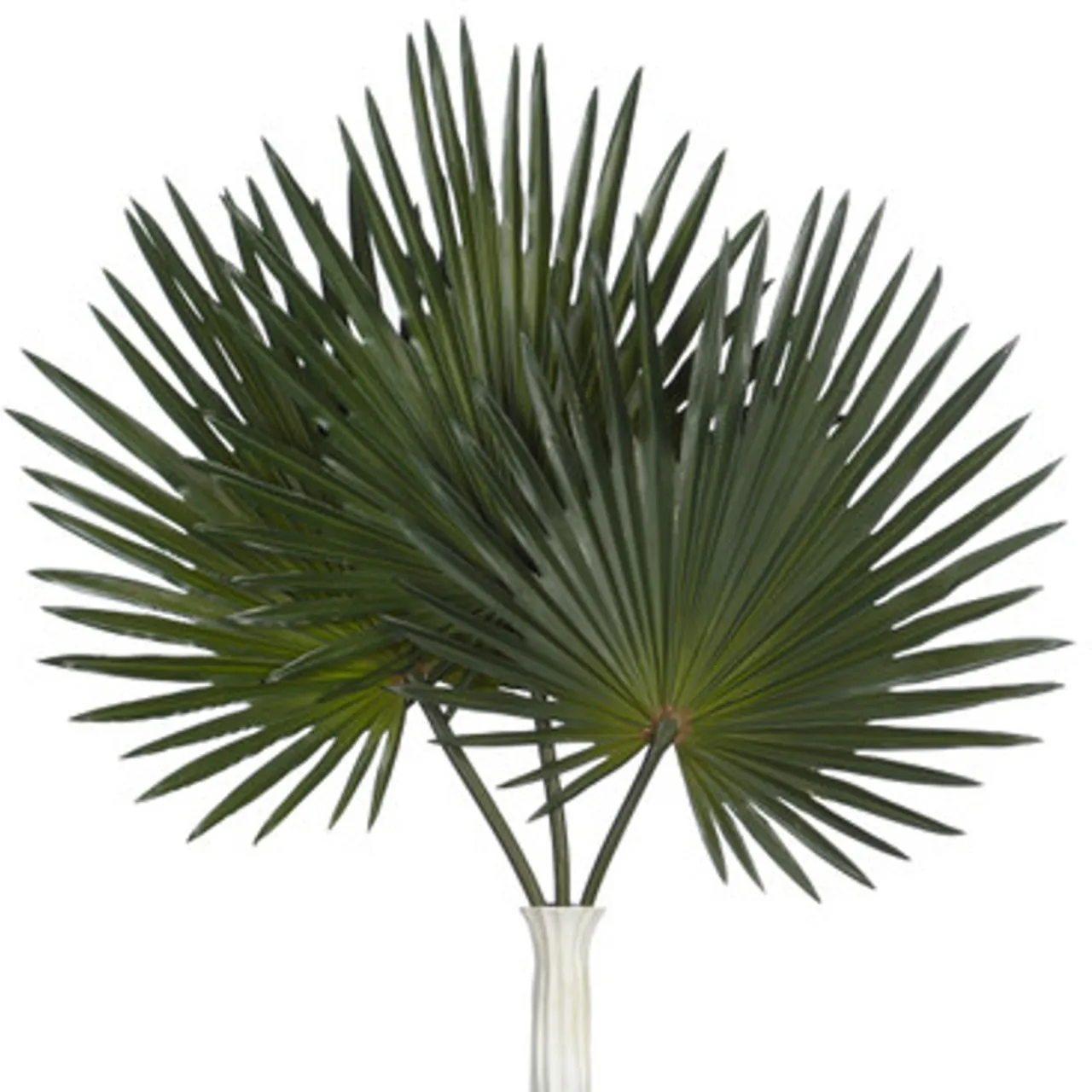 Z Gallerie Faux Palm Stem - Set of 3> Home Decor | Décor Sale