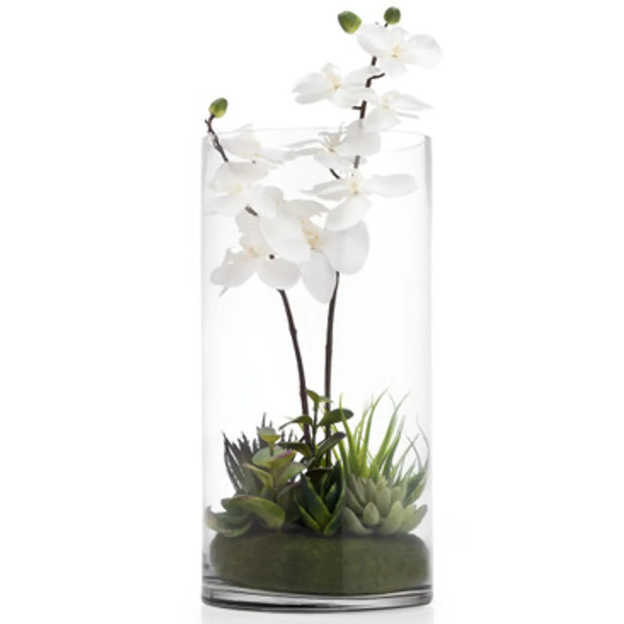 Z Gallerie Faux Potted Orchid With Succulents> Home Decor | Décor Sale