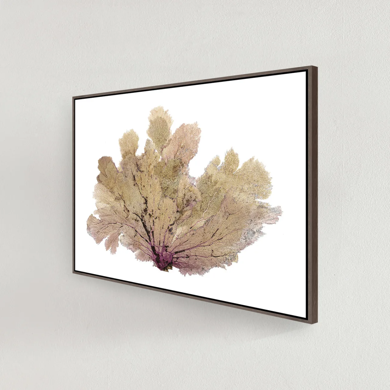 Z Gallerie Golden Seafan​> Framed Art | Canvas