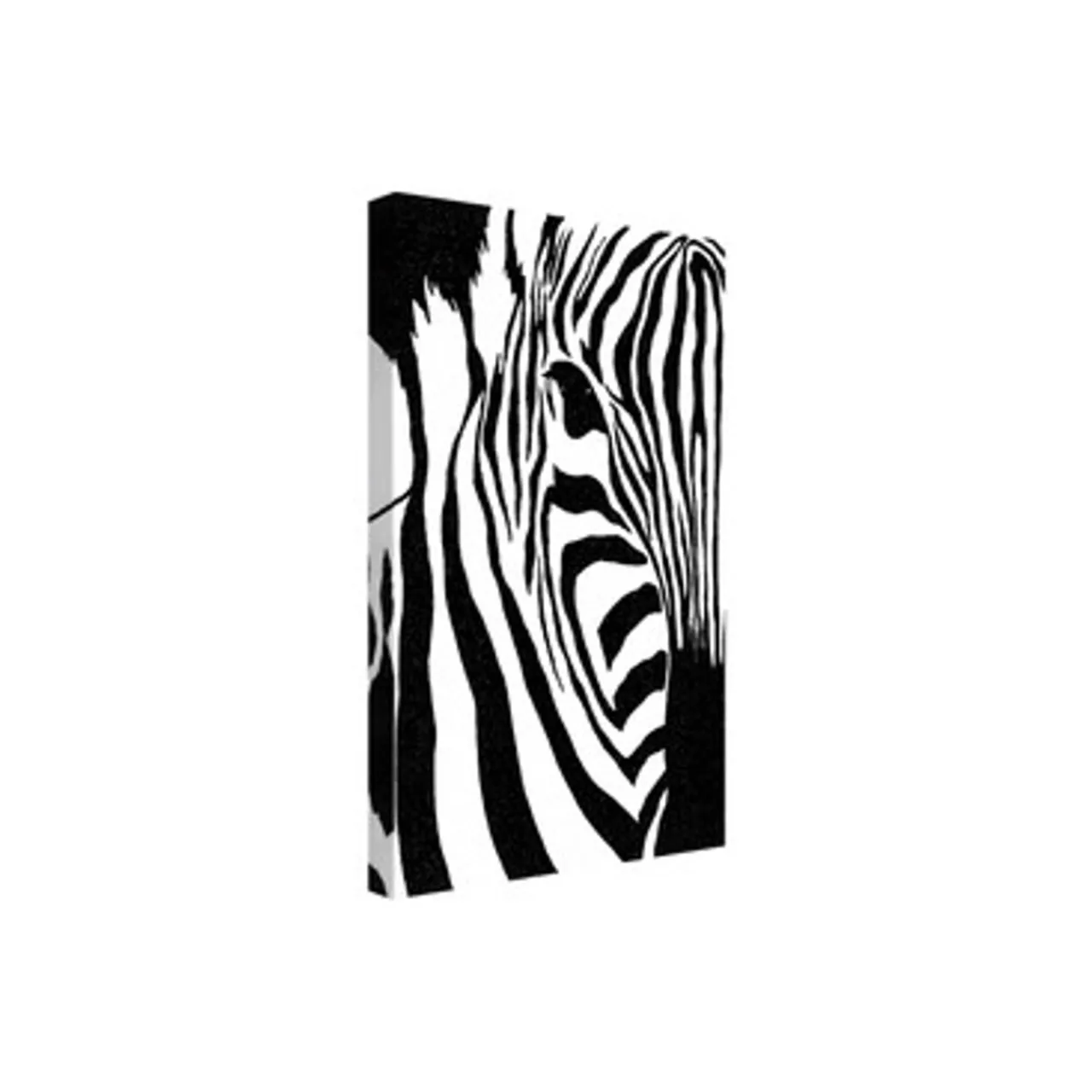 Z Gallerie Graceful Stripes> Canvas | Black