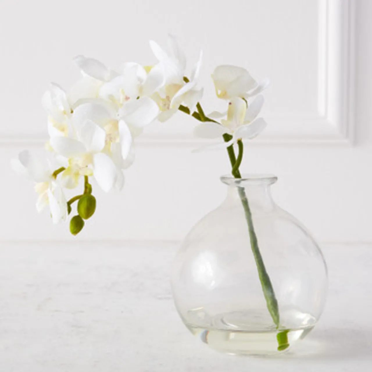 Z Gallerie Phaleanopsis 1 Stem With Glass> Home Decor | Décor Sale