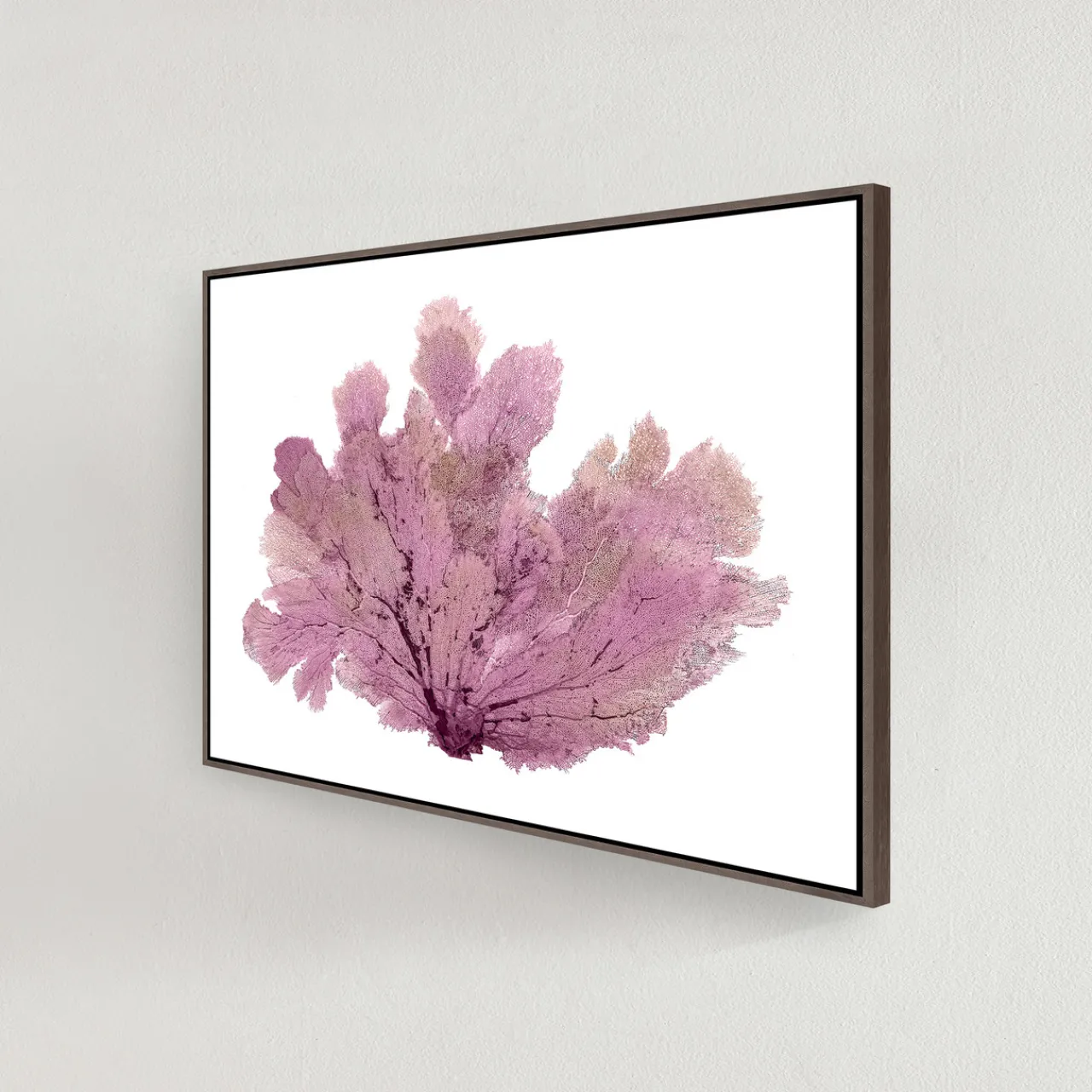 Z Gallerie Purple Seafan> Framed Art | Canvas