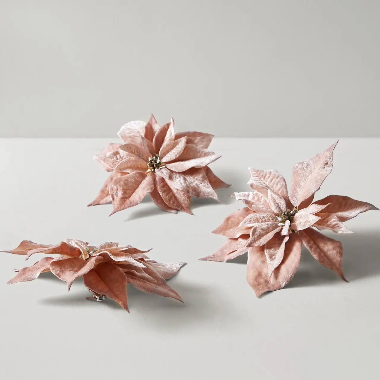 Z Gallerie Velvet Poinsettia Clip - Blush - Set of 3> Ornaments | Décor Sale