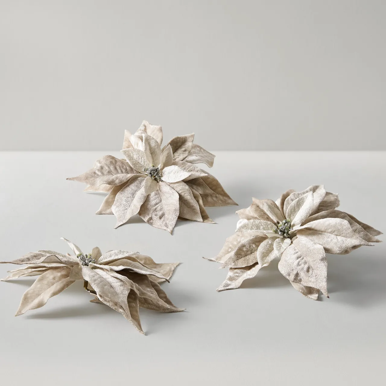 Z Gallerie Velvet Poinsettia Clip - Grey - Set of 3> Ornaments | Décor Sale