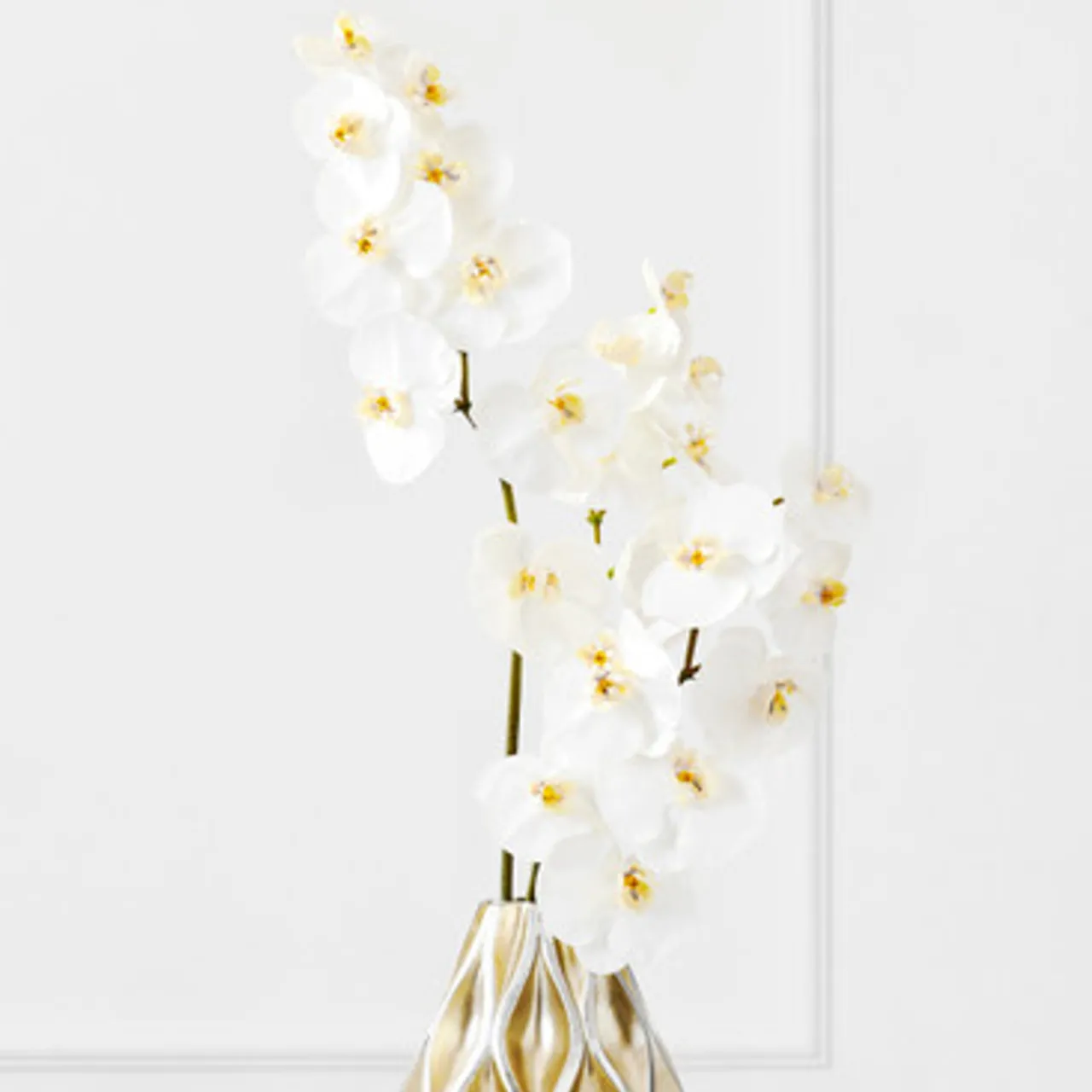 Z Gallerie White Orchid Stem - Set of 3> Home Decor | Décor Sale